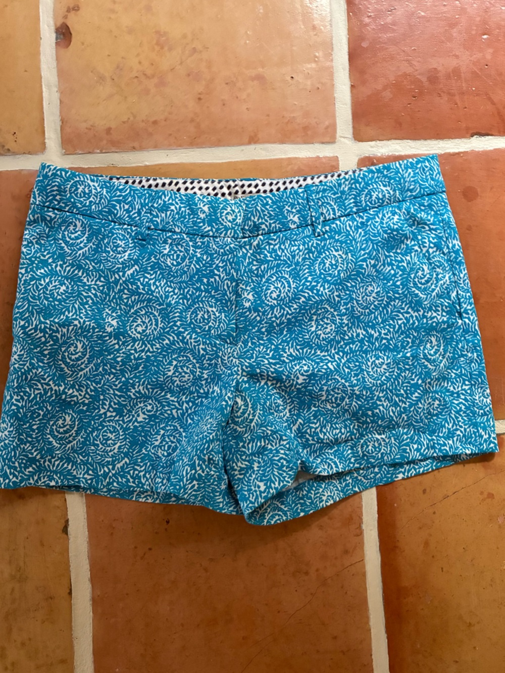Dalia Collection Turquoise Navy Polka Dot Trim Shorts